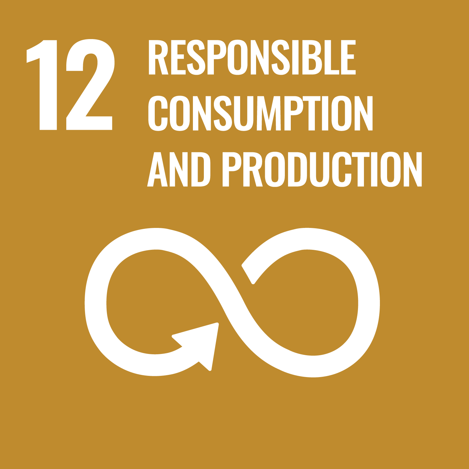 Responsible consumption and production - Goal 12
