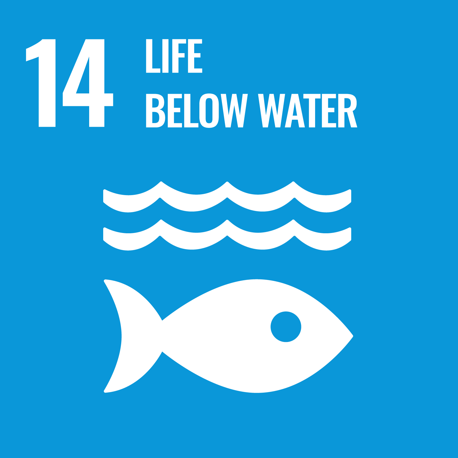 Life below water - Goal 14