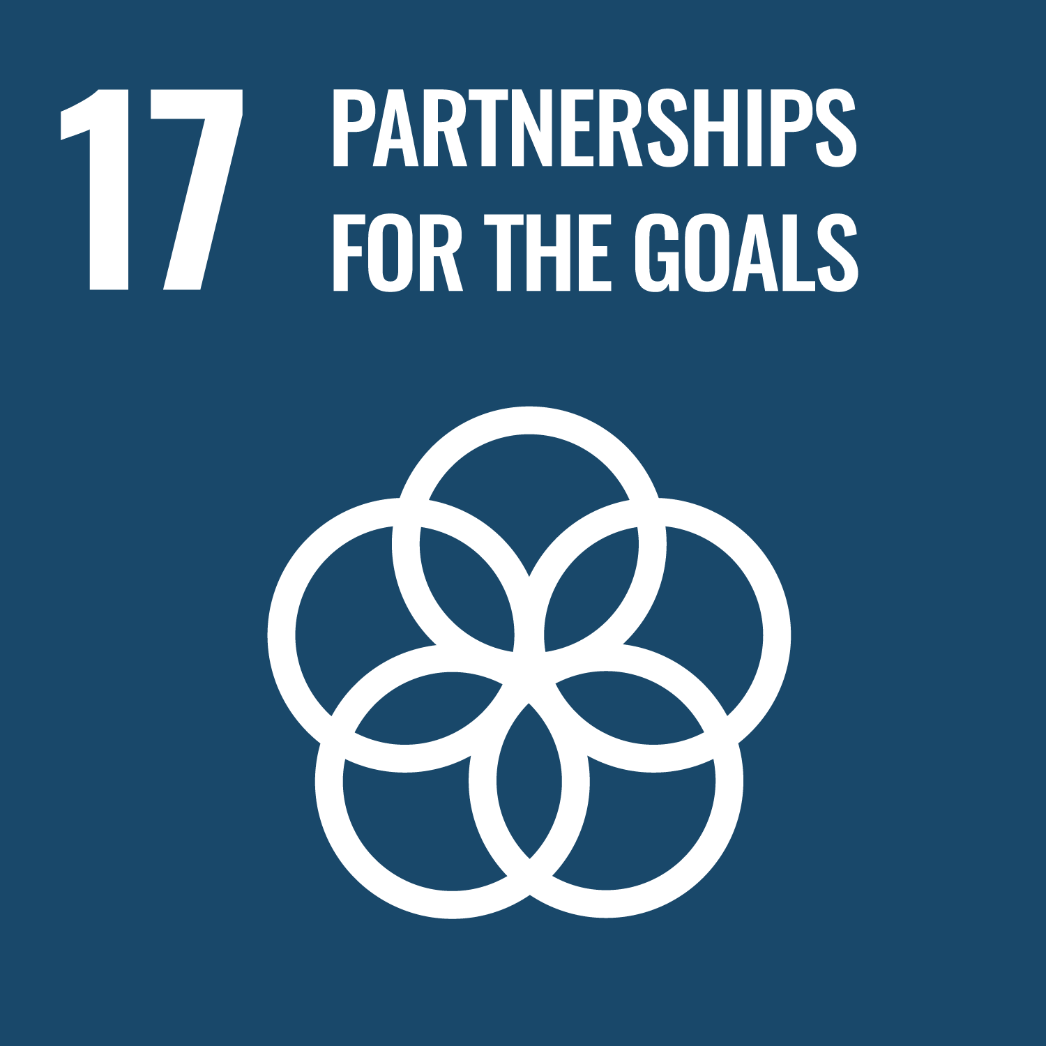 Partnerships for the goals - Goal 17